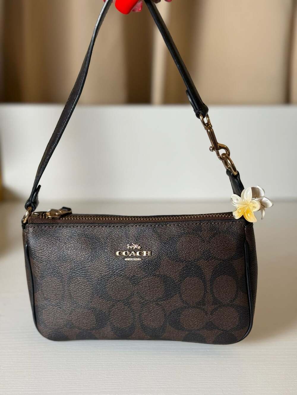 Coach Nolita 19 In Signature Canvas Bag Purse (Brown Black)